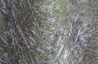 Berwick Upon Tweed fibreglass roof work